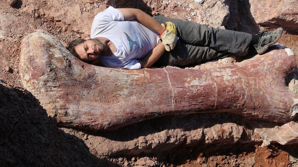 il pene più spesso e più lungo scala di misurazione del pene